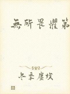 无所畏惧第二部