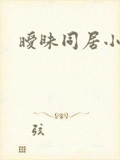 暧昧同居小说