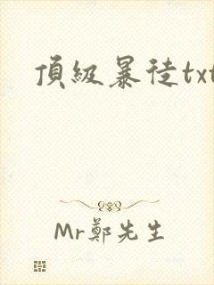 顶级暴徒txt