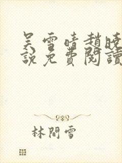 吴雪晴赵晓东小说免费阅读封面
