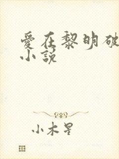 爱在黎明破晓前小说