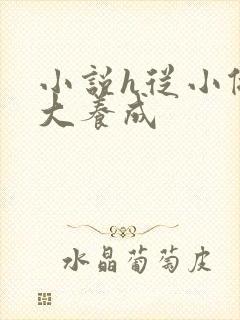 小说h从小做到大养成