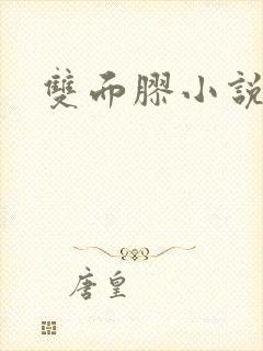 双面胶小说
