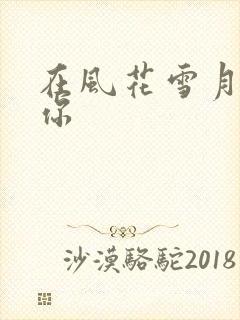 在风花雪月里等你
