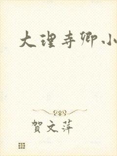 大理寺卿小说