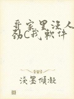 哥家里没人使点劲C我软件