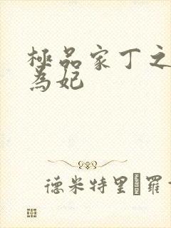 极品家丁之册母为妃封面