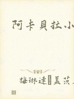 阿卡贝拉小说