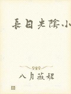 长日光阴小说