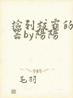 捡到校霸的遥控器by阳阳封面