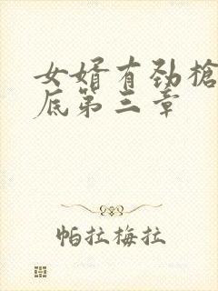 女婿有劲枪枪到底第三章