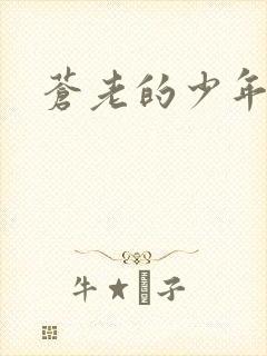 苍老的少年