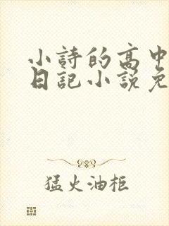 小诗的高中成长日记小说免费阅读