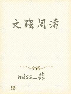 文强周涛