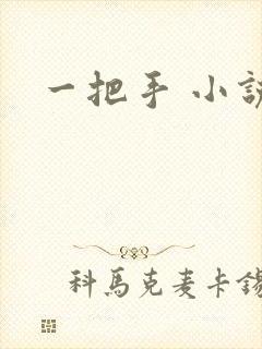 一把手 小说