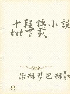 十段锦小说全本txt下载封面