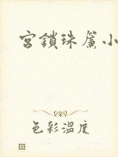 宫锁珠帘小说