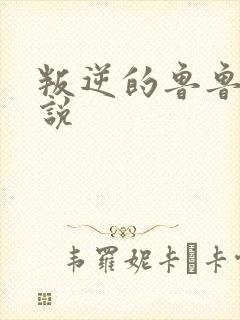叛逆的鲁鲁修小说