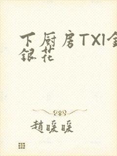 下厨房TXl金银花封面