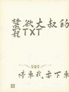 禁欲大叔的心尖宠TXT封面