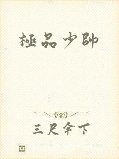 极品少帅