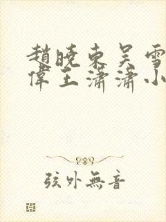 赵晓东吴雪晴郑伟王潇潇小说名字