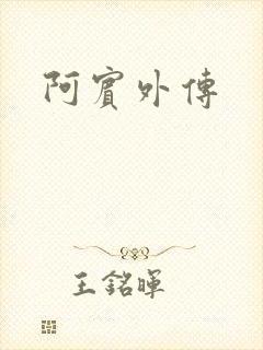 阿宾外传