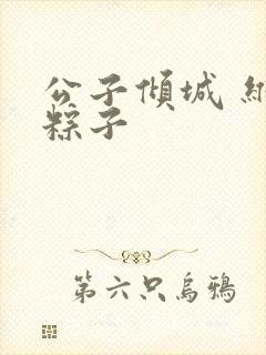 公子倾城 维和粽子封面