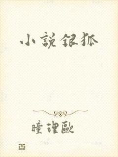 小说银狐