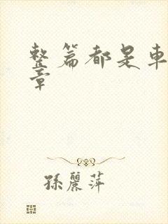 整篇都是车的文章