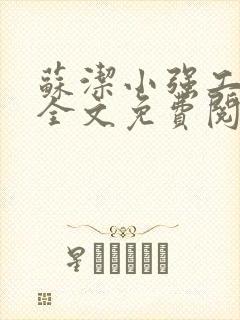 苏洁小强工地情全文免费阅读封面