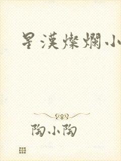 星汉灿烂小说