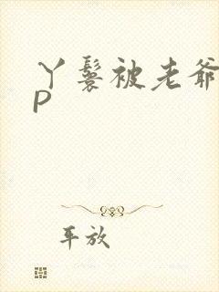 丫鬟被老爷玩NP封面