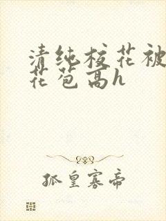 清纯校花被迫开花苞高h