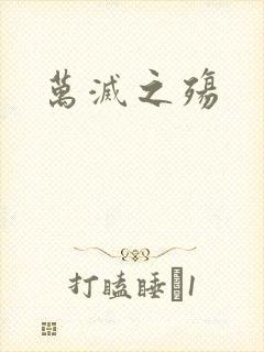 万灭之殇封面