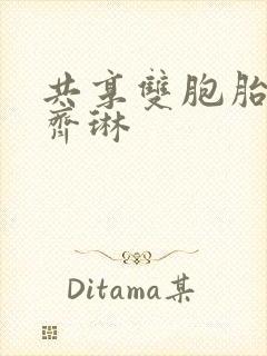 共享双胞胎齐娜齐琳