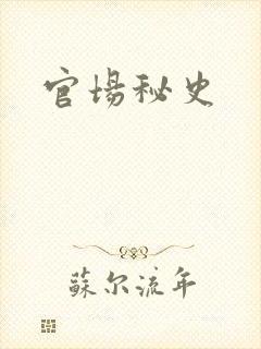 官场秘史