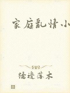 家庭乱情小说封面