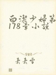 白洁少妇第1一178章小说封面