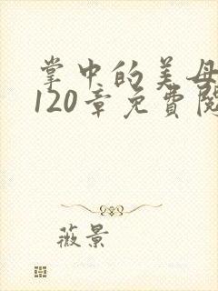 掌中的美母版主120章免费阅读