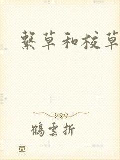 系草和校草封面