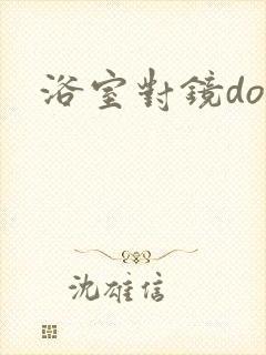 浴室对镜doi封面