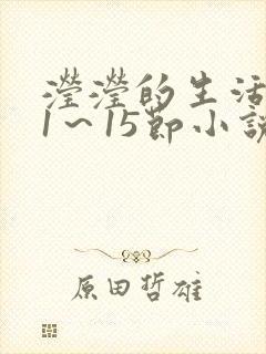 滢滢的生活日记1～15节小说封面