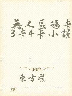 无人区码卡二卡3卡4卡小说封面