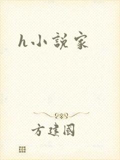 h小说家