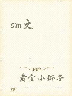sm文