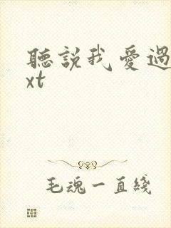 听说我爱过你txt封面