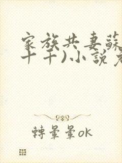 家族共妻苏苏(十千)小说免费