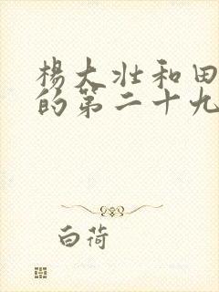 杨大壮和田桂花的第二十九