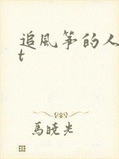 追风筝的人txt